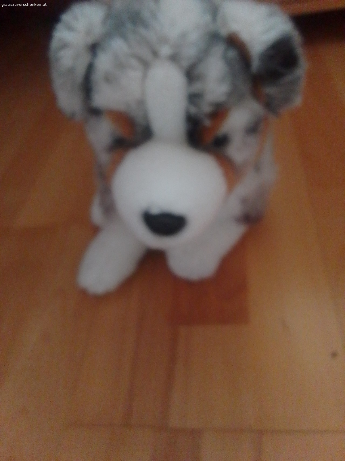 Ist ein süßer Hund. Ist ein stofftier