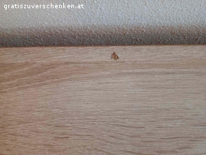 Kommode Sideboard Anrichte. Größe:

175,7 cm x 38,5 cm x 93,5 cm

Am letzten Foto sieht man einen kleinen Schönheitsfleck. Er fällt aber kaum auf. Abholung vom Erdgeschoss